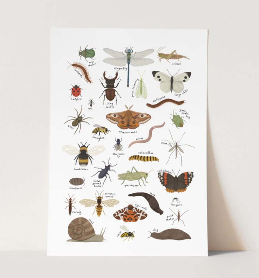 Kid'S Room Kid of the Village | Kid Of The Village A4 Minibeast Print